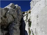 Gozdec - Vrh Laške Planje