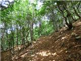 Tolminske Ravne - Gomiščkovo zavetišče na Krnu