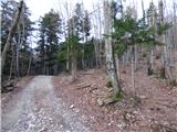 Potoče - Potoška gora