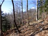 Potoče - Potoška gora