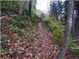 Šober - Planinski dom Kozjak