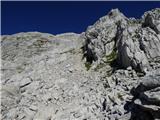 Gozdec - Vrh Laške Planje