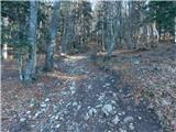 Frankolovo - Stolpnik