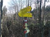 Sveta Katarina (Zgornja Kapla) - Sveti Pankracij (Radelca)