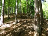 Planina Zajzera - Krniška glavica / Jof di Sompdogna