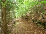 Spodnja Trenta - Planina Berebica