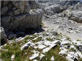 Gozdec - Vrh Laške Planje