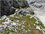 Gozdec - Vrh Laške Planje