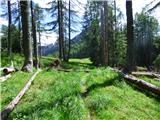 Bagni di Lusnizza - Cima Alta (Due Pizzi)
