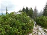 Teichalm (Teichalmsee) - Hochlantsch