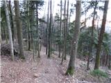 Potoče - Potoška gora