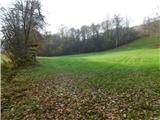 Stubenbergsee - Kulm