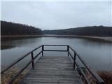 Bukovniško jezero
