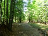 Planina Zajzera - Krniška glavica / Jof di Sompdogna