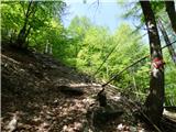 Planina Zajzera - Krniška glavica / Jof di Sompdogna