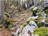 Vela Vrata - Bijele stijene