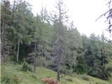 Teichalm (Teichalmsee) - Hochlantsch