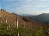 Kozjak nad Pesnico - Tojzlov vrh