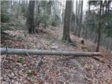 Planina pri Sevnici - Koča na Bohorju