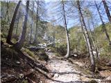 Planina Zajzera - Krniška glavica / Jof di Sompdogna