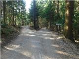 Sveta Katarina (Zgornja Kapla) - Sveti Pankracij (Radelca)
