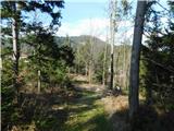 Sveta Katarina (Zgornja Kapla) - Sveti Pankracij (Radelca)