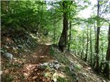 Tolminske Ravne - Gomiščkovo zavetišče na Krnu