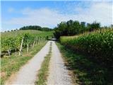 Svečina - Plački vrh