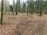 Cerovec pod Bočem - Plešivec (at Boč)