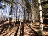 Potoče - Potoška gora
