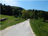 Stari Grad (Šega) - Dedni vrh (Šuštarica)
