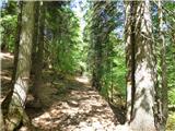 Planina Zajzera - Krniška glavica / Jof di Sompdogna