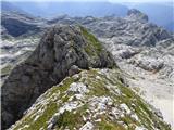 Gozdec - Vrh Laške Planje