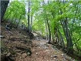Planina Zajzera - Krniška glavica / Jof di Sompdogna