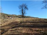 Lovrenc na Pohorju - Klančnik (Glančnik)