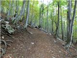 Tolminske Ravne - Gomiščkovo zavetišče na Krnu