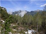 Planina Zajzera - Krniška glavica / Jof di Sompdogna