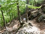 Planina Zajzera - Krniška glavica / Jof di Sompdogna