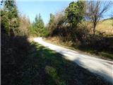 Frankolovo - Stolpnik
