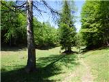 Planina Zajzera - Krniška glavica / Jof di Sompdogna