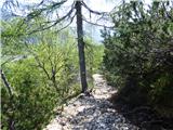 Planina Zajzera - Krniška glavica / Jof di Sompdogna