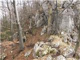 Griže - Kamnik