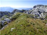 Gozdec - Vrh Laške Planje