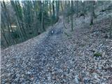 Frankolovo - Stolpnik