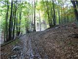 Tolminske Ravne - Gomiščkovo zavetišče na Krnu