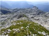 Gozdec - Vrh Laške Planje