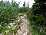 Teichalm (Teichalmsee) - Hochlantsch