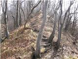 Griže - Kamnik