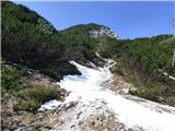 Planina Zajzera - Krniška glavica / Jof di Sompdogna