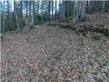 Frankolovo - Stolpnik